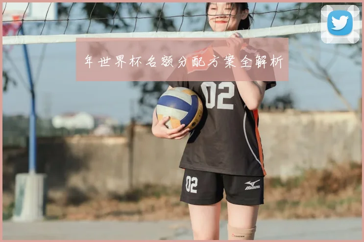 年世界杯名额分配方案全解析