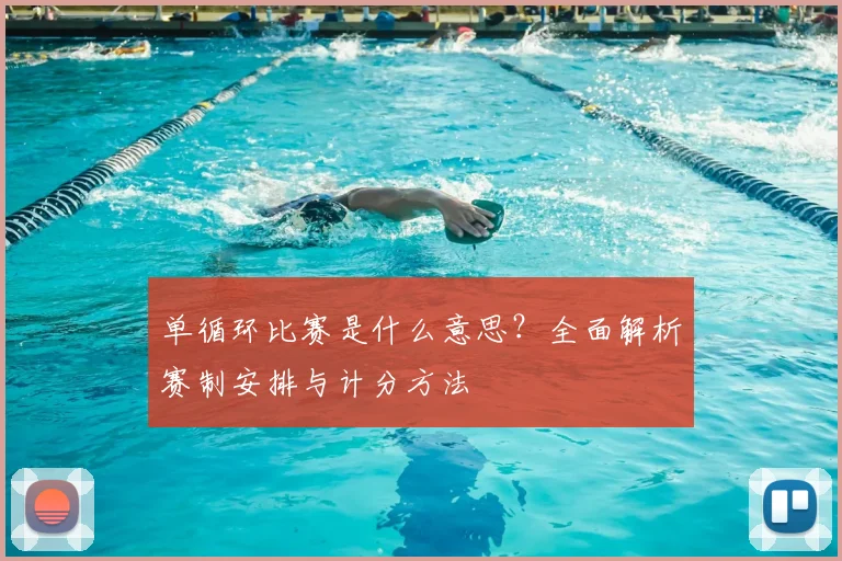 单循环比赛是什么意思?全面解析赛制安排与计分方法
