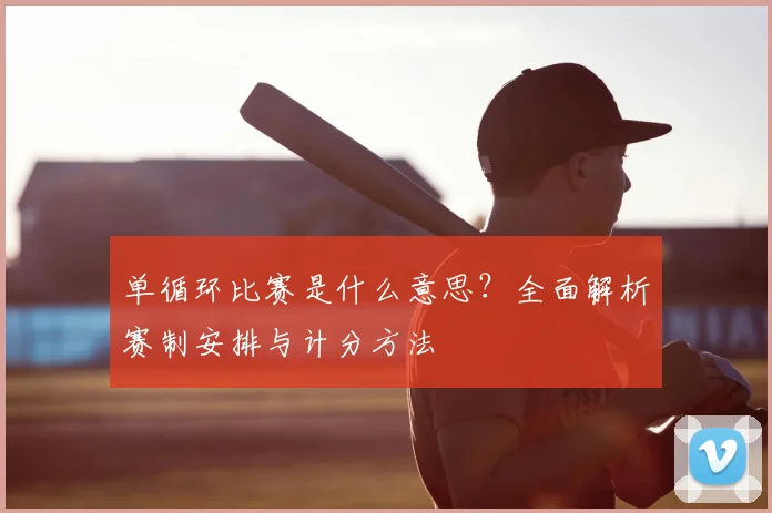 单循环比赛是什么意思?全面解析赛制安排与计分方法